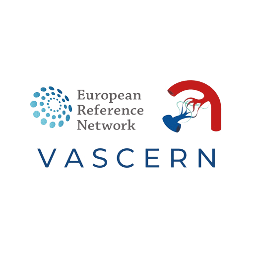 VASCERN: La Red Europea de Referencia (ERN) sobre Enfermedades Vasculares Raras Multisistémicas.